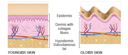 Mosbeau - The Skin Whitening and Anti-aging Expert